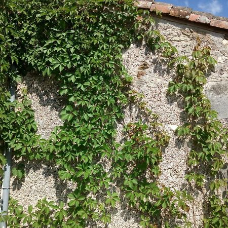 Le Petit Cochon Chambre D' Hotes Haims Exterior foto