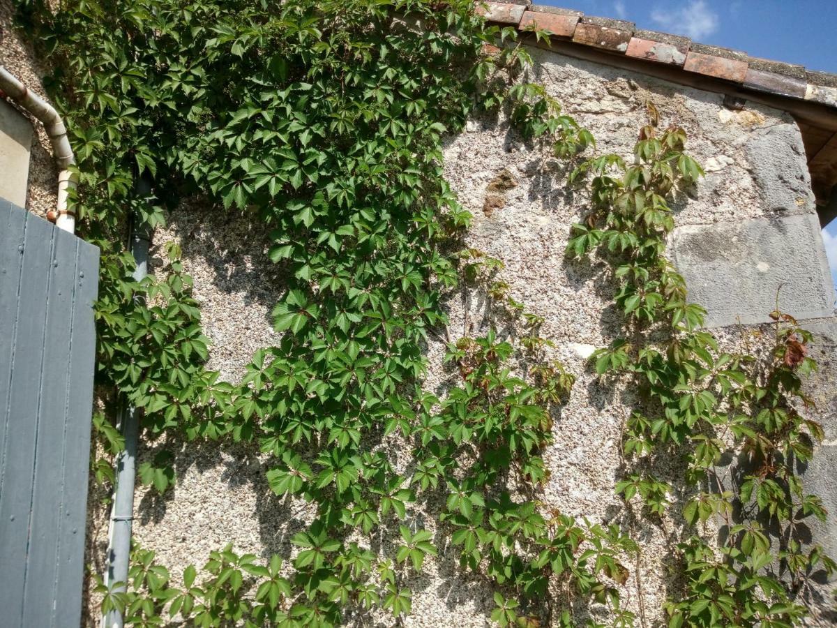 Le Petit Cochon Chambre D' Hotes Haims Exterior foto